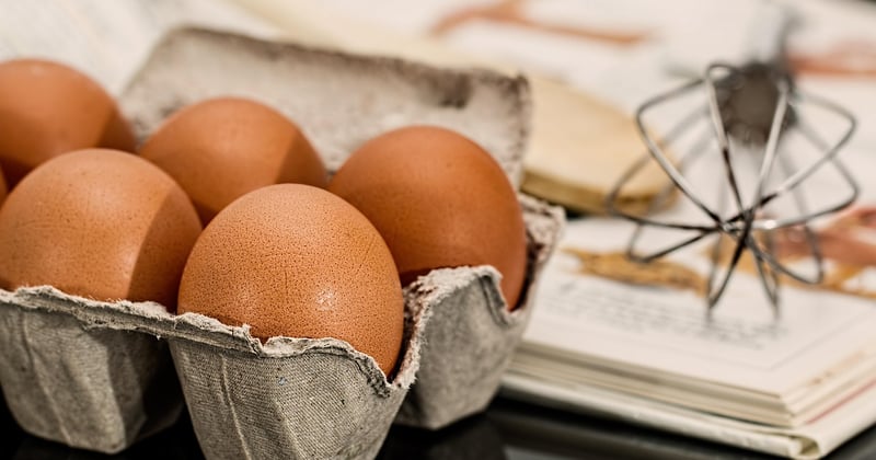 Recettes numériques : la cuisine à l'ère technologique, le futur dans votre assiette